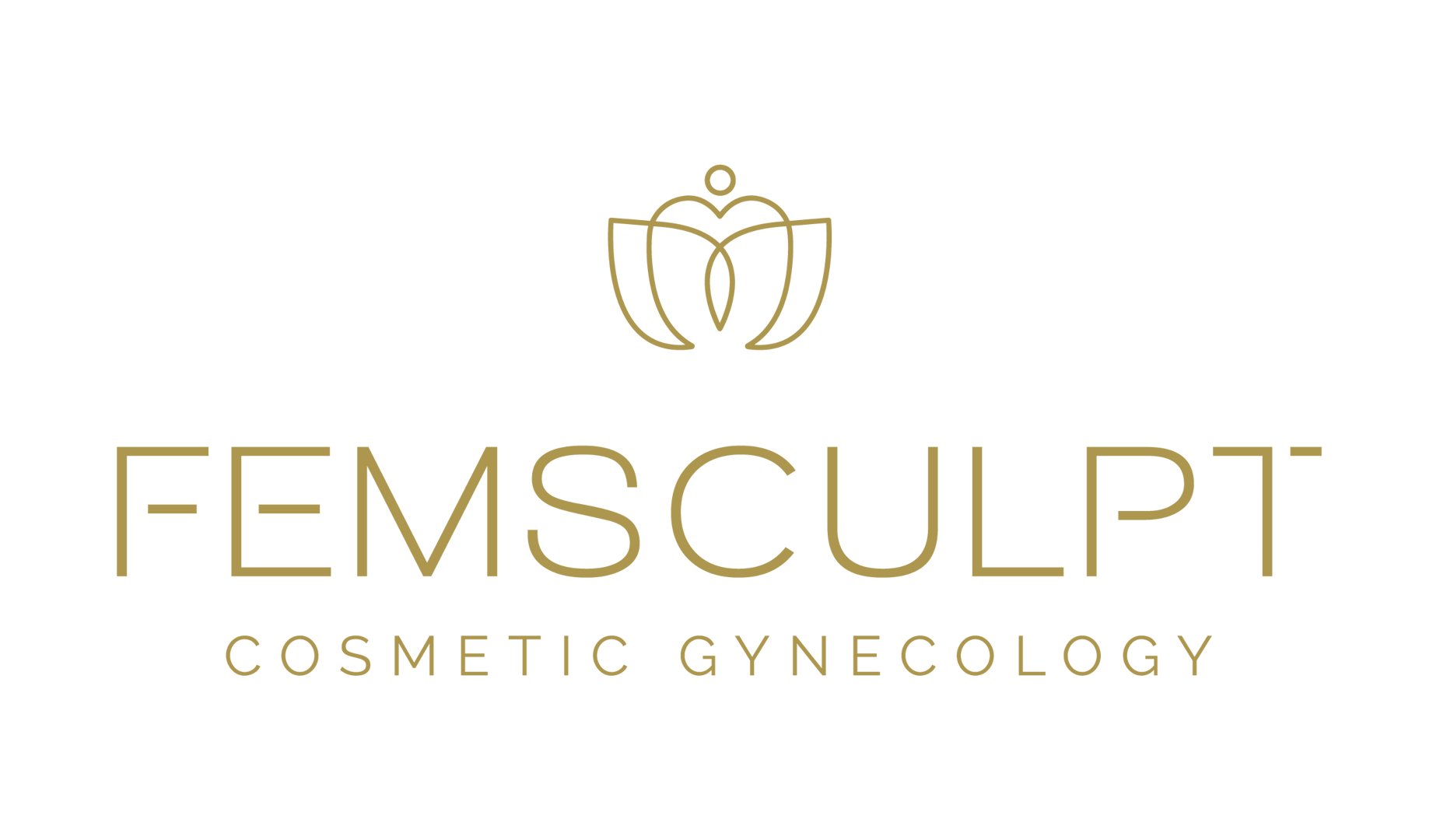 FemSculpt